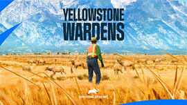 Yellowstone Wardens